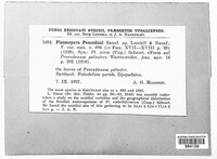 Image Associated With the Occurence
